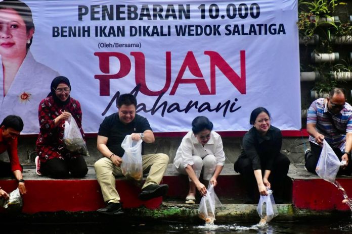 Puan Maharani Tebar Bibit Ikan Produktif di Kaliwedok Kalitaman Salatiga