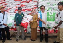 Ristawati Hadiri Gebyar Diskon Pupuk Non Subsidi Kabupaten Kebumen