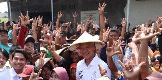 Temui Petani di Wilalung Demak, Ganjar Sosialisasikan Program Pemutihan KUR Temui Petani di Wilalung Demak, Ganjar Sosialisasikan Program Pemutihan KUR