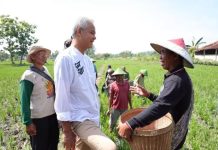 Dicurhati Petani Blora Soal Pupuk, Ganjar Sampaikan Solusi Lewat Programnya