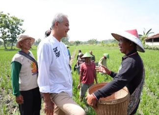 Dicurhati Petani Blora Soal Pupuk, Ganjar Sampaikan Solusi Lewat Programnya Dicurhati Petani Blora Soal Pupuk, Ganjar Sampaikan Solusi Lewat Programnya