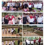 kolase mbak puan rice mil4