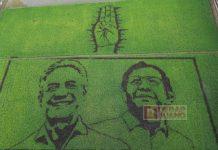 Ganjar Puji Kreatifitas Seniman yang Gambar Wajah Ganjar-Mahfud di Sawah