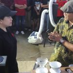 Mbak Puan Maharani