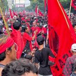 Akar Rumput