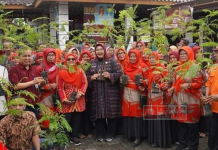 Bupati Yuni Bagikan 2.100 Bibit Petai Di 7 Desa Wilayah Utara Sragen