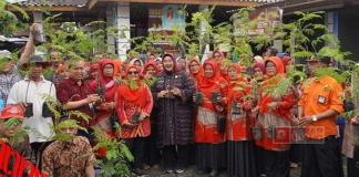 Bupati Yuni Bagikan 2.100 Bibit Petai Di 7 Desa Wilayah Utara Sragen Bupati Yuni Bagikan 2.100 Bibit Petai Di 7 Desa Wilayah Utara Sragen