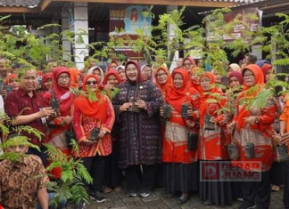 Bupati Yuni Bagikan 2.100 Bibit Petai Di 7 Desa Wilayah Utara Sragen Bupati Yuni Bagikan 2.100 Bibit Petai Di 7 Desa Wilayah Utara Sragen