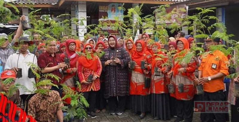 Bupati Yuni Bagikan 2.100 Bibit Petai Di 7 Desa Wilayah Utara Sragen
