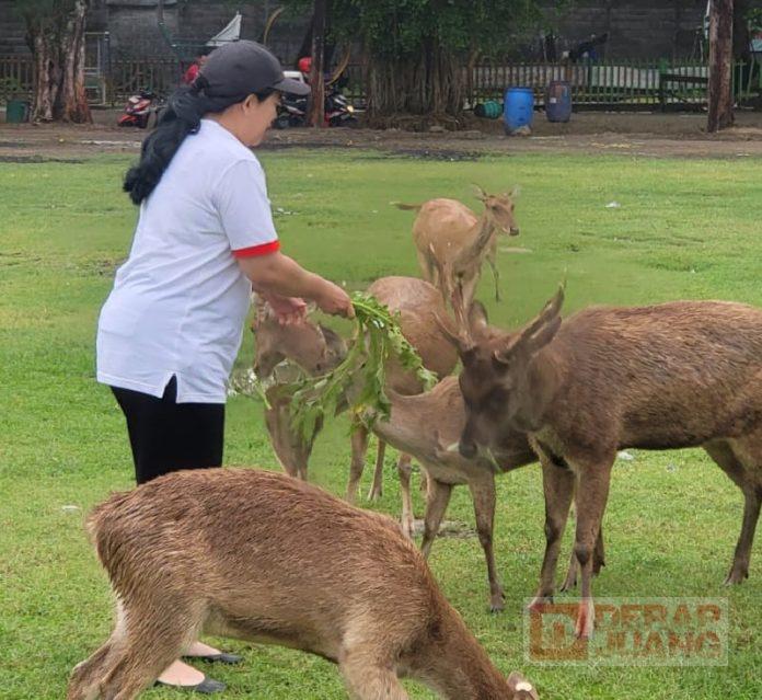 puan maharani Puan Maharani