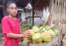 Gigih Dalam Berusaha, KJ Sanusi Distribusikan Kelapa Muda Gigih Dalam Berusaha, KJ Sanusi Distribusikan Kelapa Muda