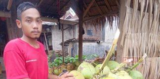 Gigih Dalam Berusaha, KJ Sanusi Distribusikan Kelapa Muda