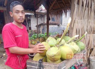 Gigih Dalam Berusaha, KJ Sanusi Distribusikan Kelapa Muda