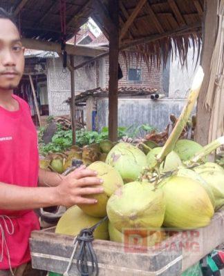 Gigih Dalam Berusaha, KJ Sanusi Distribusikan Kelapa Muda