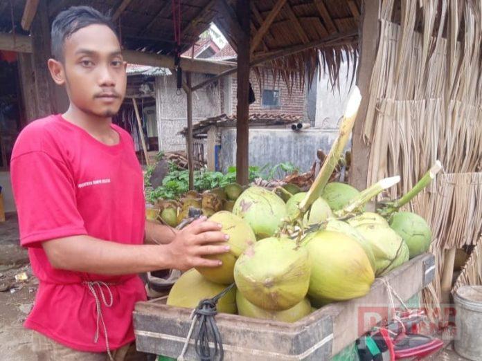 Gigih Dalam Berusaha, KJ Sanusi Distribusikan Kelapa Muda