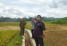 Bersama Komisi B, Purwanto Tinjau Saluran Irigasi di Desa Tayem