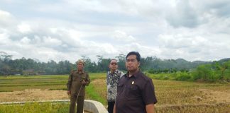 Bersama Komisi B, Purwanto Tinjau Saluran Irigasi di Desa Tayem