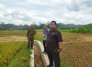 Bersama Komisi B, Purwanto Tinjau Saluran Irigasi di Desa Tayem