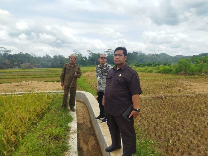 Bersama Komisi B, Purwanto Tinjau Saluran Irigasi Di Desa Tayem