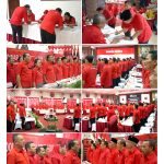 kolase DPD 040320242