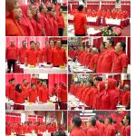 kolase DPD 040320243