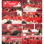 kolase DPD 040320246