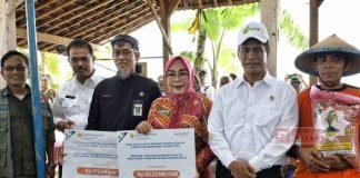 Sri Sumarni Dampingi Kunjungan Kerja Menteri Pertanian di Kabupaten Grobogan