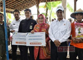 Sri Sumarni Dampingi Kunjungan Kerja Menteri Pertanian di Kabupaten Grobogan