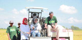 Panen Raya 2024 Alami Surplus, Sri Mulyani Harap Harga Bahan Pangan Dapat Turun