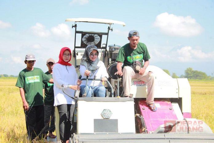 Panen Raya 2024 Alami Surplus, Sri Mulyani Harap Harga Bahan Pangan Dapat Turun