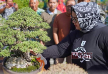 Bupati Yuni Buka Pameran dan Kontes Bonsai Bupati Yuni Buka Pameran dan Kontes Bonsai