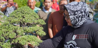 Bupati Yuni Buka Pameran dan Kontes Bonsai Bupati Yuni Buka Pameran dan Kontes Bonsai