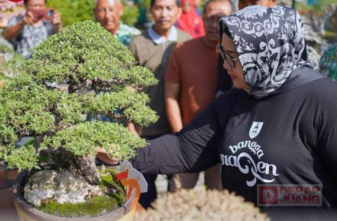 Bupati Yuni Buka Pameran dan Kontes Bonsai