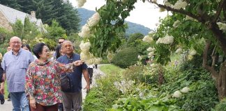 Di Balik Kecintaan Bu Mega Terhadap Tanaman Bu Mega