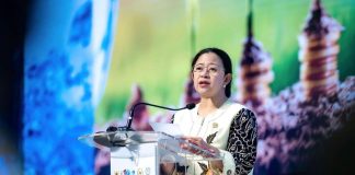 Puan Sampaikan Hasil Forum Parlemen WWF, Isu Air Akan Jadi Agenda Prioritas