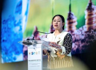 Puan Sampaikan Hasil Forum Parlemen WWF, Isu Air Akan Jadi Agenda Prioritas