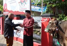 Bambang Irawan Serahkan Sapi Kurban ke Baitul Muslimin dan Pemdes Karanggambas Bambang Irawan