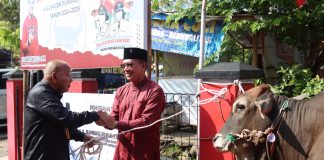 Bambang Irawan Serahkan Sapi Kurban ke Baitul Muslimin dan Pemdes Karanggambas Bambang Irawan