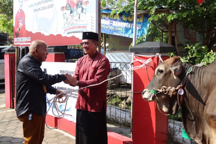 Bambang Irawan Serahkan Sapi Kurban ke Baitul Muslimin dan Pemdes Karanggambas Bambang Irawan