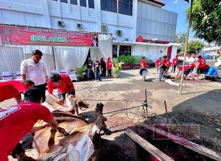 Peringati Idul Adha, DPD PDI Perjuangan Jawa Tengah Sembelih 5 Ekor Sapi