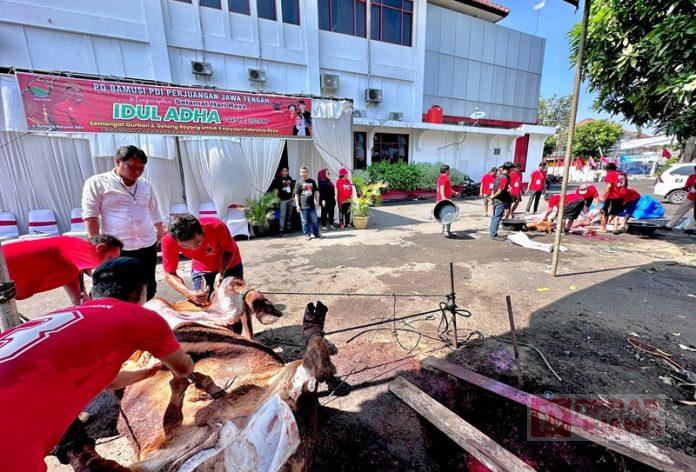 Peringati Idul Adha, DPD PDI Perjuangan Jawa Tengah Sembelih 5 Ekor Sapi