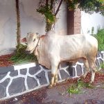 Picture Of The Day – 16 Juni 2024