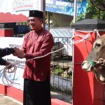 Picture Of The Day – 18 Juni 2024