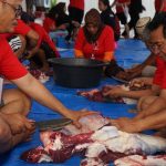 Picture Of The Week – 17 Juni 2024