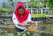 Sukseskan Urban Farming, Mbak Ita Dorong Pemanfaatan Lahan Tidur