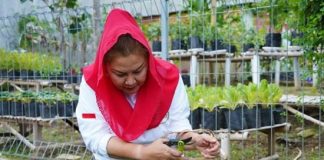 Sukseskan Urban Farming, Mbak Ita Dorong Pemanfaatan Lahan Tidur