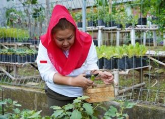 Sukseskan Urban Farming, Mbak Ita Dorong Pemanfaatan Lahan Tidur