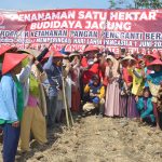 WhatsApp-Image-2024-06-01-at-13.09.36-1