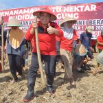 Taufik: Jagung Bisa Gantikan Nasi Sebagai Makanan Pokok