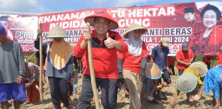 Taufik: Jagung Bisa Gantikan Nasi Sebagai Makanan Pokok Taufik Nurhidayat